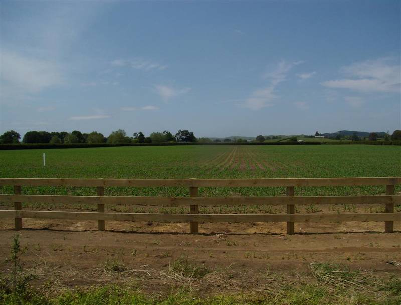 Bare Land
$400,000+GST Picture 3