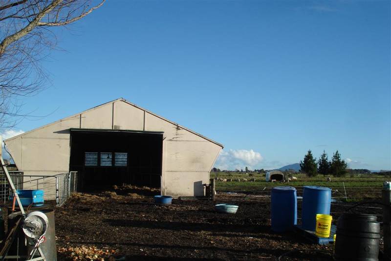 Near New Home -
Monavale
Offers over $1,000,000 Picture 3