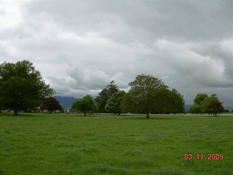 Somersby Farm
Tender Picture 2