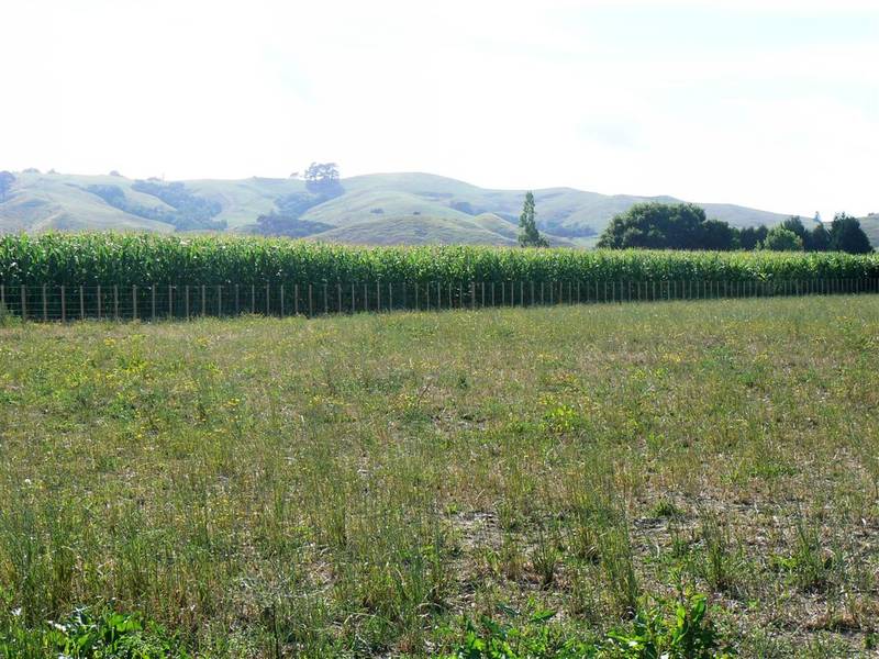 Judge Road (off Parklands Rd) Picture 3