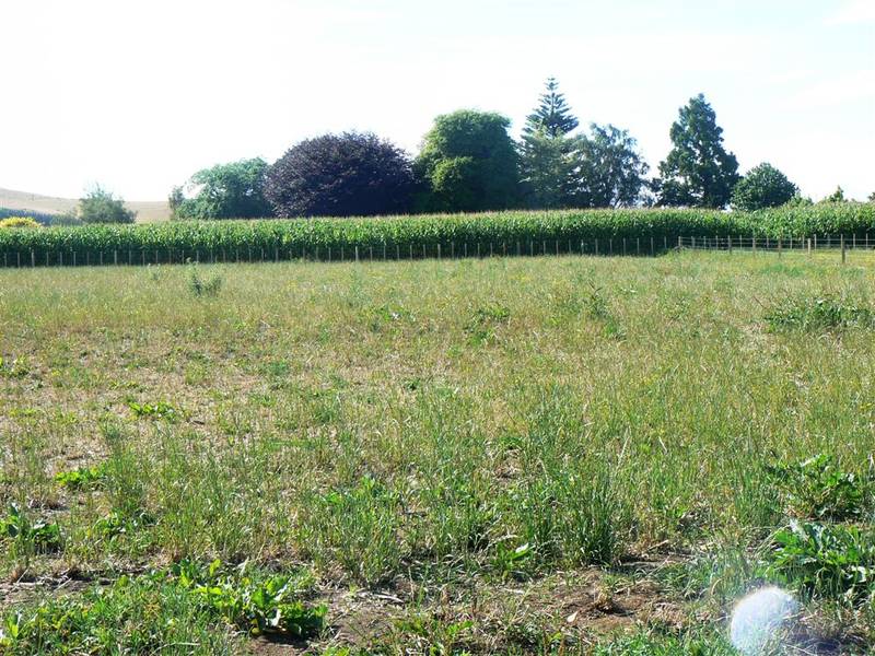 Judge Road (off Parklands Rd) Picture 2