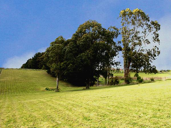 Your Rural Hideaway Picture 1