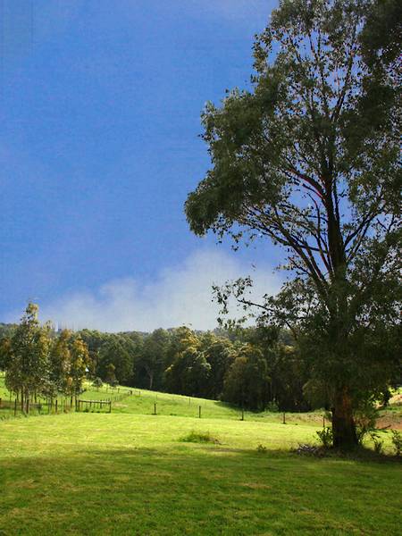 Your Rural Hideaway Picture 3