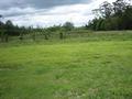 16 ACRES - 3 MINUTES FROM FOREST GLEN Picture