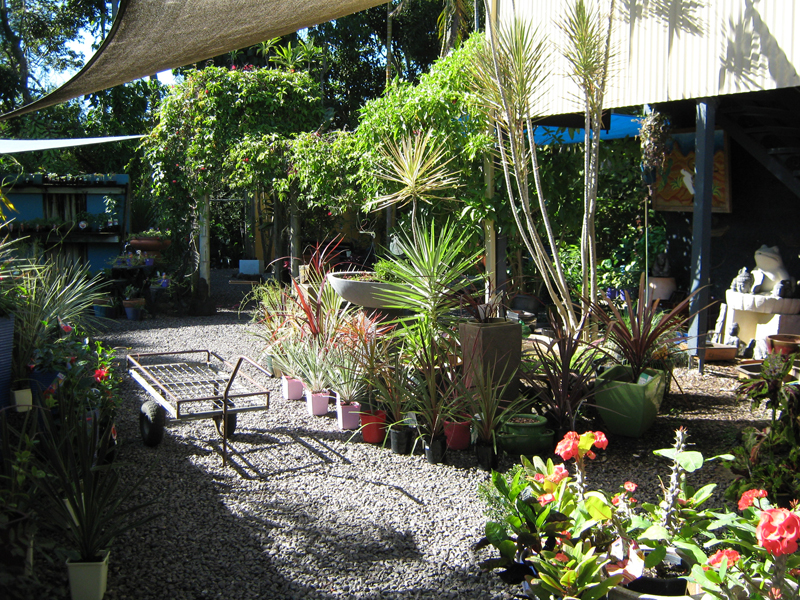 CENTRAL 1.4-ACRES - RUN BUSINESS, LIVE IN OR SUBDIVIDE Picture 1