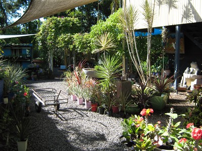 CENTRAL 1.4-ACRES - RUN BUSINESS, LIVE IN OR SUBDIVIDE Picture