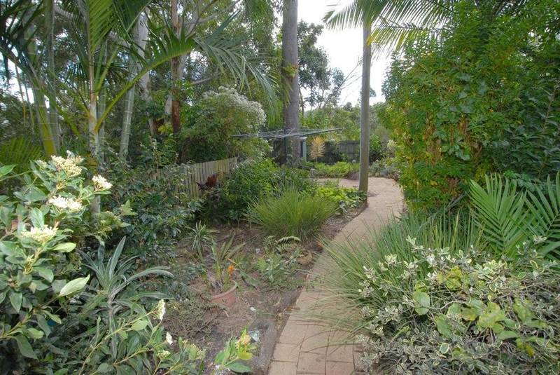 YOUR PRIVATE BUDERIM COTTAGE IN THE WOODS Picture 2