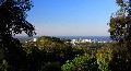 Over 1/4 acre on the NE Escarpment of Buderim with Stunning Ocean Views Picture