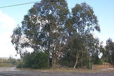 Opportunity knocks once.... Picture