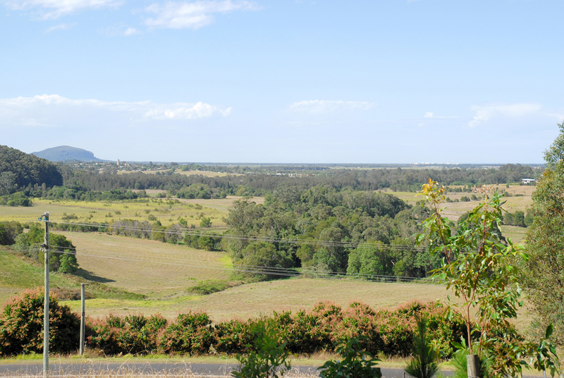 MASSIVE POTENTIAL - USEABLE ACREAGE WITH VIEWS! Picture 3