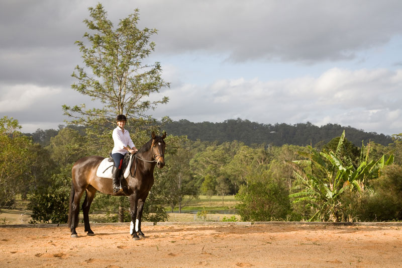 SUMMERFIELD - MUST SELL THIS SUMMER! Picture 1