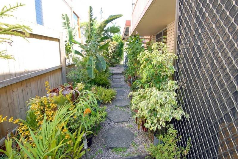 BEACHSIDE UNIT- SMALL COMPLEX OF 3 - ALEX Picture 3