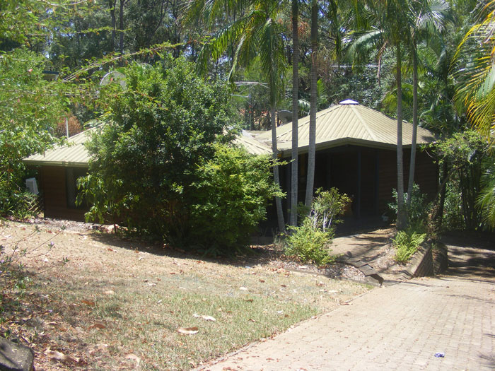 3 B'S = BUDERIM BUSH BEAUTY Picture 2