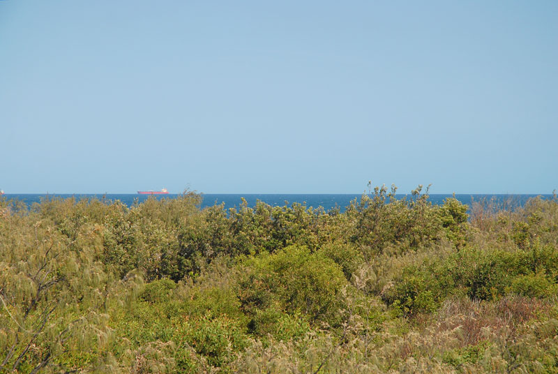 ICONIC BEACHFRONT BEAUTY ON OCEANIC DRIVE Picture 2