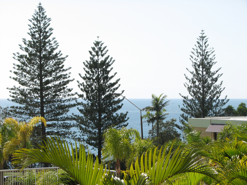 BRILLIANT INVESTMENT UNIT - MOOLOOLABA Picture 2