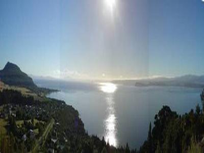 Tree Tops - Omori - Lake Taupo Picture Tree Tops - Omori - Lake Taupo Picture