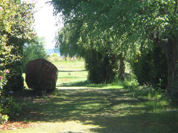 TE RANGI ITA Picture 3