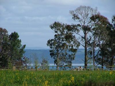 Motuoapa Picture Motuoapa Picture