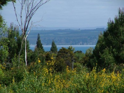 Motuoapa Picture Motuoapa Picture