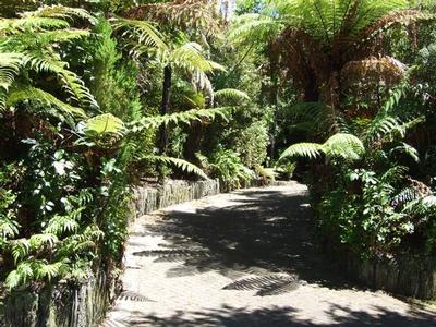 Pukawa Picture Pukawa Picture