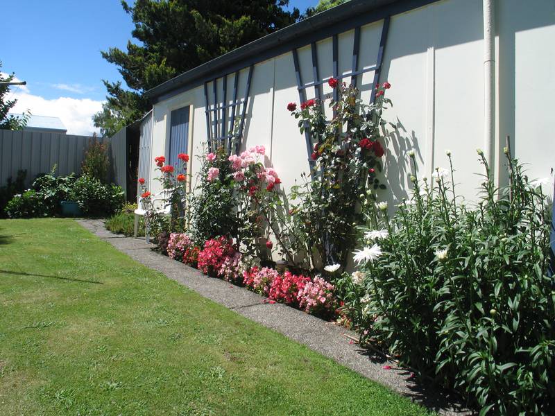 TURANGI Picture 2