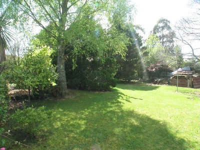 TONGARIRO RIVER Picture TONGARIRO RIVER Picture