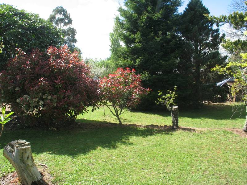 TONGARIRO RIVER Picture TONGARIRO RIVER Picture