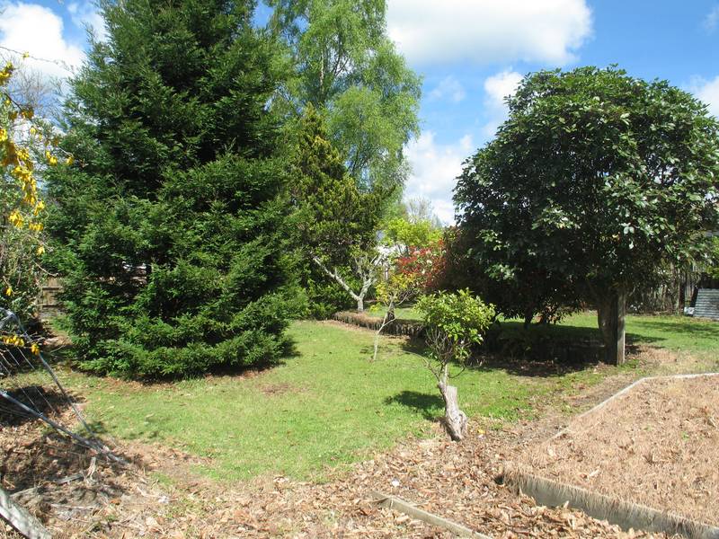 TONGARIRO RIVER Picture TONGARIRO RIVER Picture