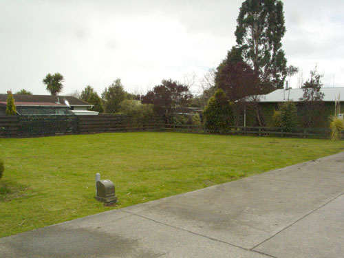 TONGARIRO RIVER Picture 1