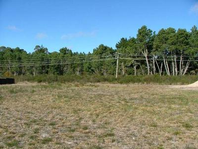 MOTUOAPA Picture MOTUOAPA Picture