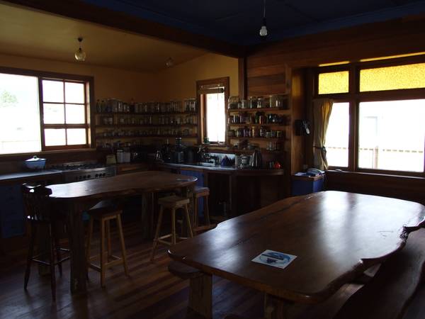 TOKAANU HOTTIE Picture 3