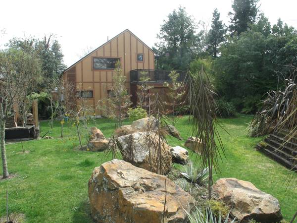 Tongariro River Picture 2