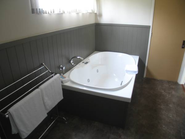 Tongariro River Picture 3