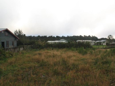 NATIONAL PARK Picture