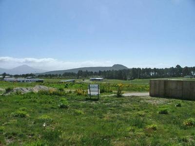 MOTUOAPA Picture MOTUOAPA Picture