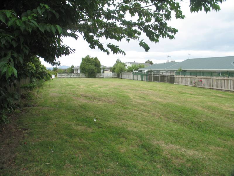 TURANGI Picture TURANGI Picture