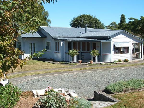 Top Of The Class (Piopio) Picture 1