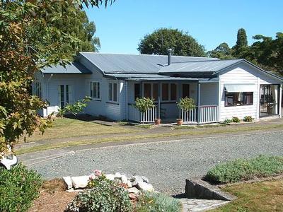 Top Of The Class (Piopio) Picture Top Of The Class (Piopio) Picture