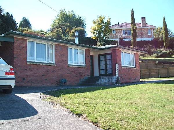 This Is A Beginners Winner! Picture 3