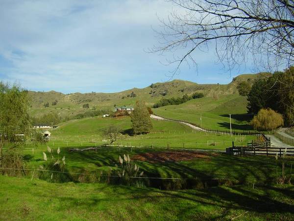 Te Kuiti Lifestyle Picture 2