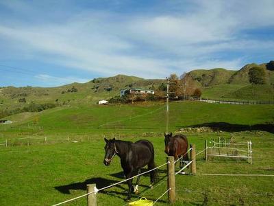 Te Kuiti Lifestyle Picture