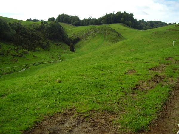 Dairy Support / Runoff or Lifestyle Block Picture 2