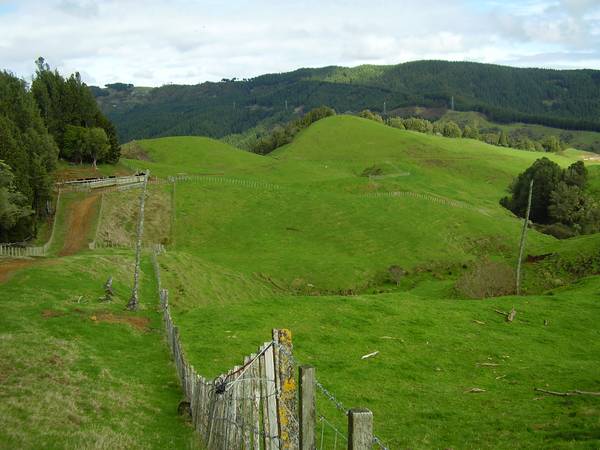 Dairy Support / Runoff or Lifestyle Block Picture 1