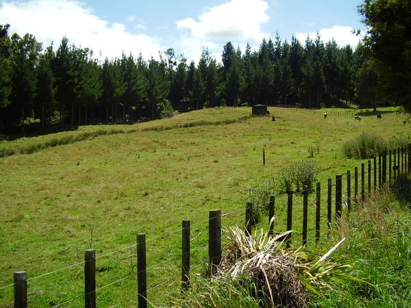 Waitomo - Bare land Picture 3