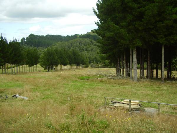 Waitomo - Bare land Picture 2