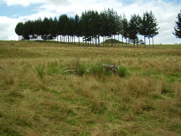 Waitomo - Bare land Picture 1
