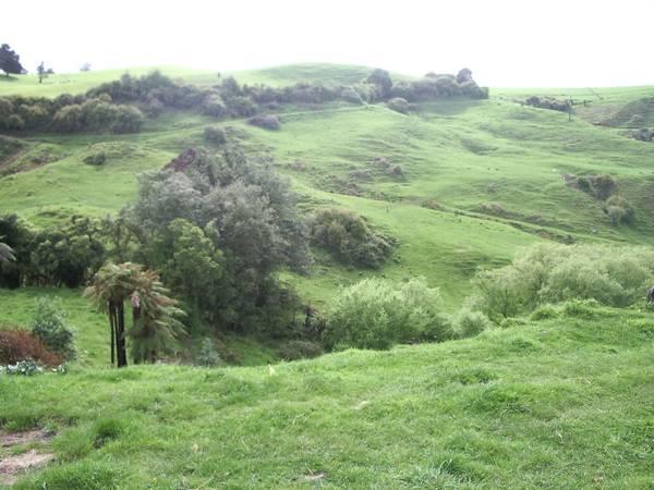 Magnificent Picture 2