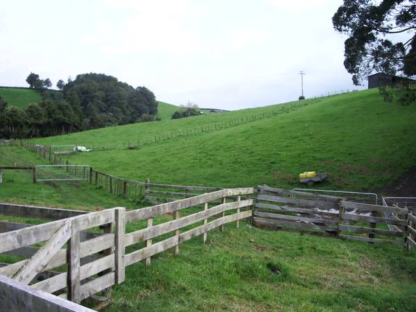 Magnificent Picture 3