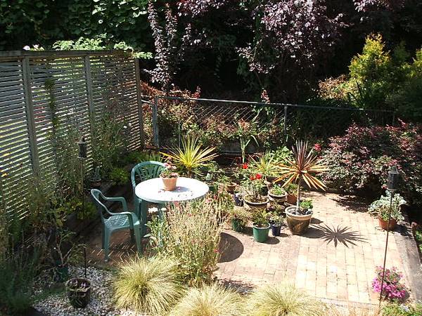 Tonga Street Picture 2