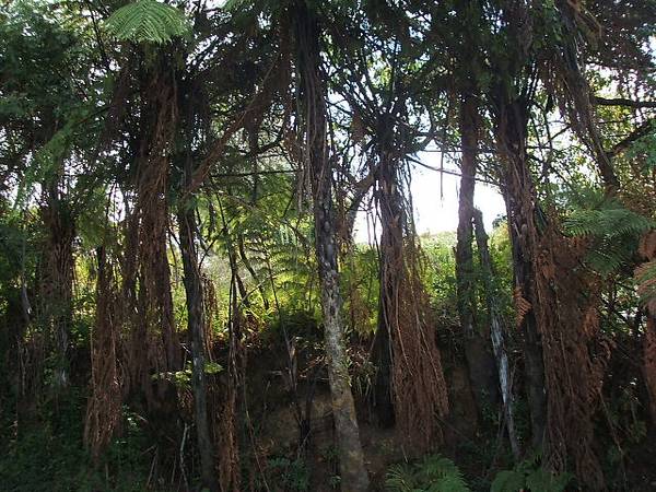 A Home To Cherish Picture 3